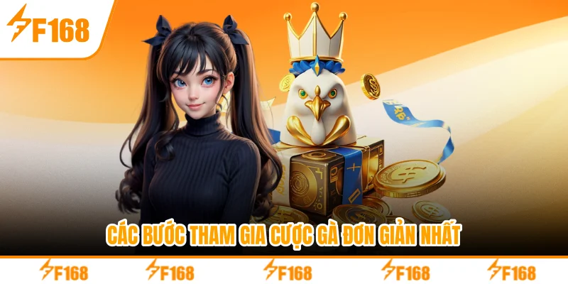 Các bước tham gia cược gà đơn giản nhất