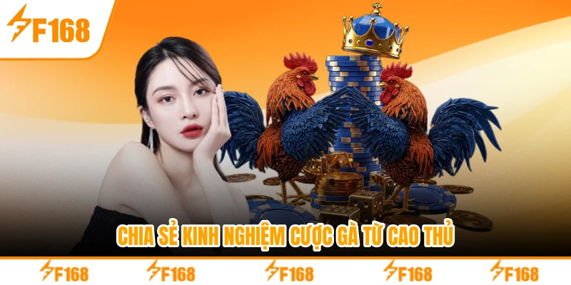 Chia sẻ kinh nghiệm cược gà từ cao thủ